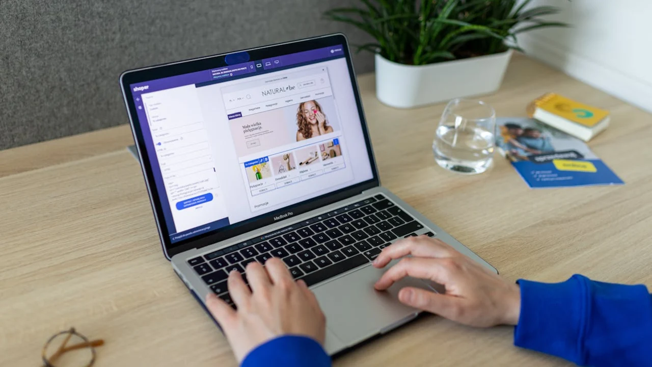 How to Check if a Shopify Store is Making Money?
